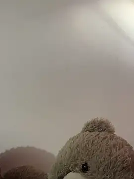 Andricastro online show from February 2025 11:33:01 AM