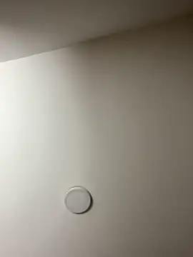 Freya Artemisa online show from February 2026 08:38:02 PM