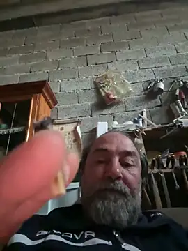 ros217 online show from April 2026 05:04:02 PM