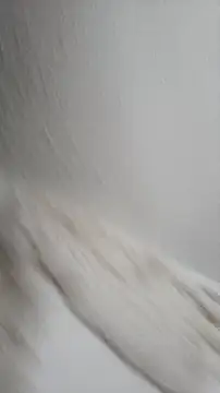 Siriss boyrag online show from November 2025 08:52:01 PM