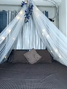 Bold-Cat online show from February 2026 05:53:02 PM