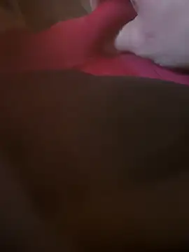 Fjome online show from November 2025 08:00:02 AM