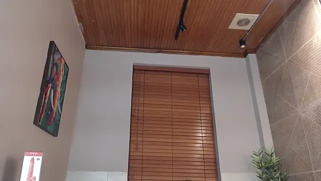 Ian Daviz online show from February 2025 01:57:02 AM