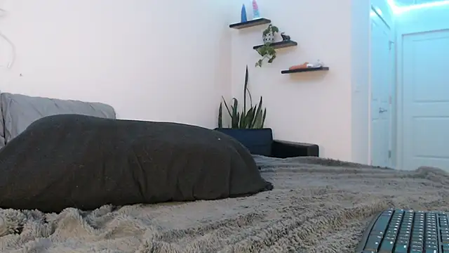 fallongrayxo online show from March 2025 11:28:02 PM