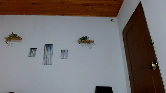 BrandonStond online show from April 2026 03:51:02 AM