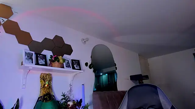 evy orange1 online show from March 2026 03:00:01 AM