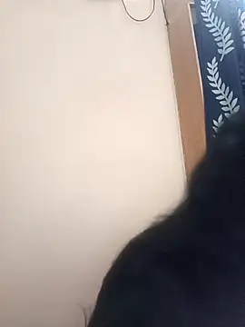 Anjali 88 online show from December 2025 09:50:02 AM