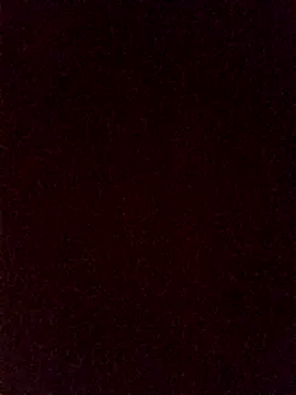 HornetBigDickonYou online show from December 2024 06:54:01 AM