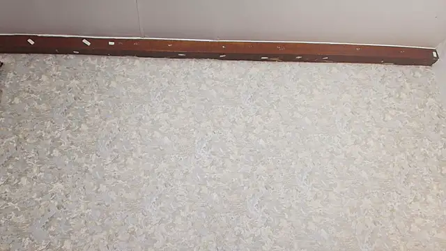 nicol f online show from March 2025 01:31:02 AM