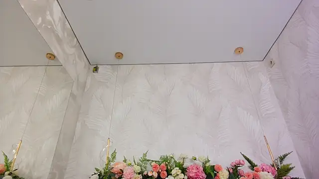 AliceBrayan online show from December 2025 05:09:02 PM