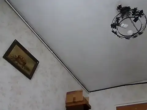 mariusica1xh online show from November 2025 11:09:01 AM