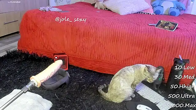 jolee   online show from January 2025 06:31:02 AM