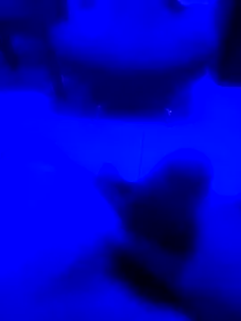 NICXUSS online show from December 2025 07:50:02 AM