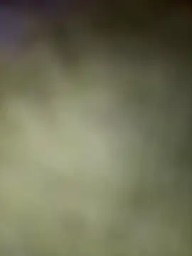 mrwright878787 online show from December 2024 02:46:01 AM