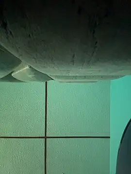 Snapshot of dulce_celeste15 chatting on November 2025 03:08:02 PM dulce celeste15 online show from November 2025 03:08:02 PM