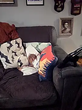 Icebearsticlese online show from April 2026 02:40:02 AM