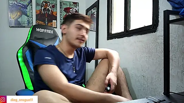 Snapshot of DiegoRogue_ chatting on February 2025 03:31:01 PM DiegoRogue online show from February 2025 03:31:01 PM