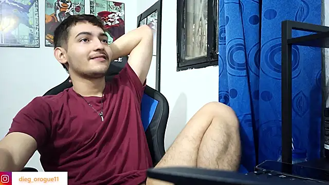 Snapshot of DiegoRogue_ chatting on February 2025 08:53:02 PM DiegoRogue online show from February 2025 08:53:02 PM