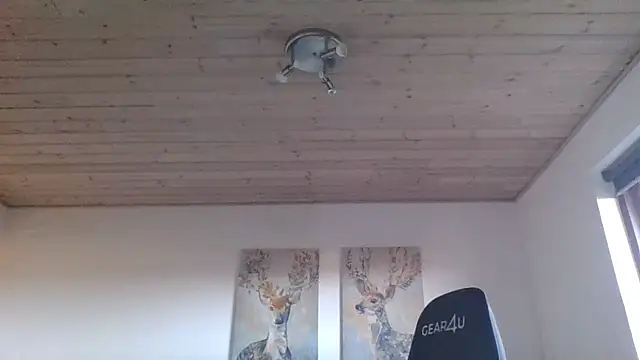 Snapshot of Gotta1 chatting on December 2024 11:44:01 AM Gotta1 online show from December 2024 11:44:01 AM