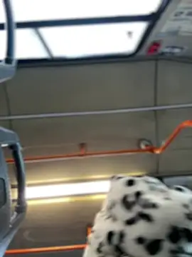 Milkyy wway online show from January 2025 07:36:01 AM