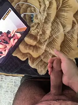 Snapshot of Serkan3356 chatting on February 2026 12:42:02 PM Serkan3356 online show from February 2026 12:42:02 PM