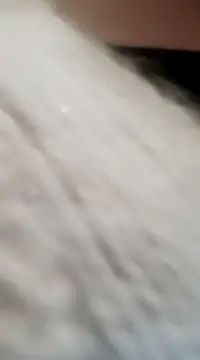 JAWHARA  online show from December 2024 08:04:01 PM