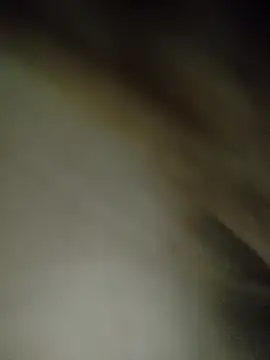 7alawa-44 online show from February 2026 01:16:01 PM