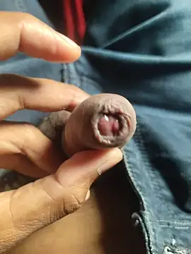 iaparna online show from November 2025 07:58:01 AM