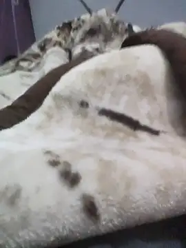 iaparna online show from December 2025 04:23:02 PM