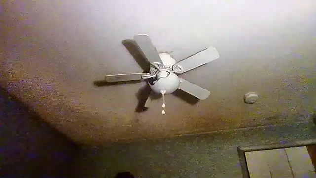 VanceFontaine online show from April 2026 05:05:02 PM