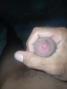 taylorWiiz online show from February 2026 04:42:01 AM