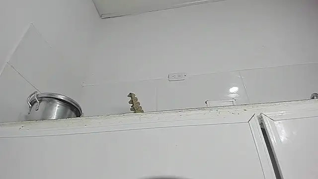 Sophie sweett19 online show from January 2025 03:37:02 AM