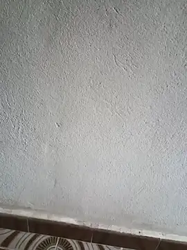 El baby12 online show from September 2025 04:21:02 PM