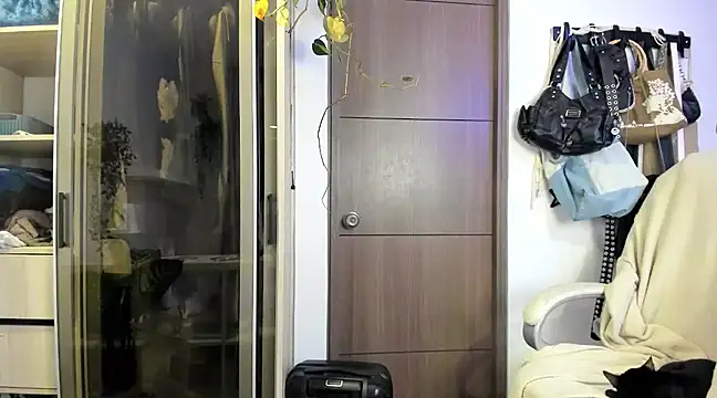 Snapshot of santy-kitty chatting on January 2025 04:13:01 AM santy-kitty online show from January 2025 04:13:01 AM