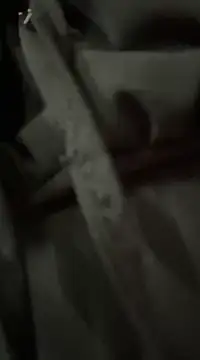 EemaHaruki online show from February 2025 05:47:02 PM