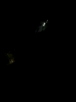 Snapshot of perlita05 chatting on November 2025 02:28:02 AM perlita05 online show from November 2025 02:28:02 AM