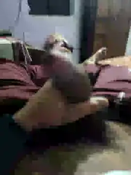 youngbull 21delhi online show from December 2024 08:28:02 AM