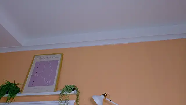 ParisFox  online show from February 2026 10:11:01 PM