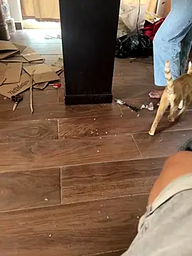 mexi01we online show from September 2025 06:09:01 PM