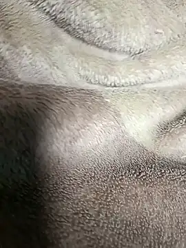 AssamSilchar93 online show from January 2025 05:27:01 PM