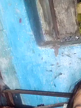 Snapshot of Natasha-In69 chatting on November 2025 09:30:02 PM Natasha-In69 online show from November 2025 09:30:02 PM