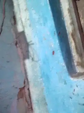 Snapshot of Natasha-In69 chatting on December 2025 08:46:01 PM Natasha-In69 online show from December 2025 08:46:01 PM