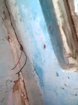 Snapshot of Natasha-In69 chatting on February 2026 12:15:01 AM Natasha-In69 online show from February 2026 12:15:01 AM