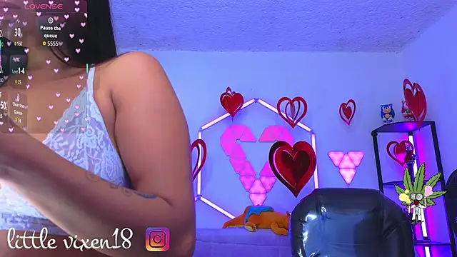 littlevixen18 online show from April 2026 06:38:01 AM