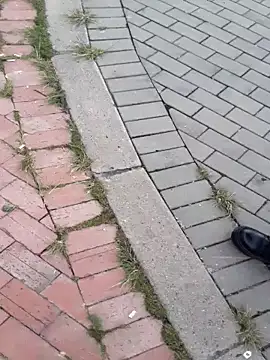 sophie banger online show from November 2025 04:33:01 PM