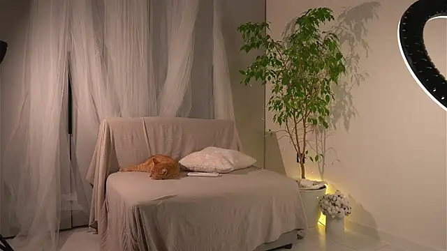 lorrie love story online show from November 2025 11:21:01 AM