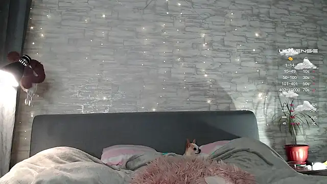    art online show from December 2024 06:06:01 PM