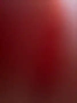 portugadopau online show from October 2025 03:01:02 PM