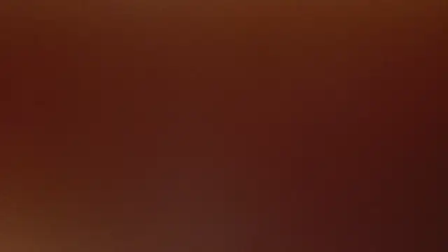 GreyXSavannah online show from January 2026 11:01:01 AM