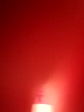 branquinho000007 online show from November 2025 04:40:02 PM